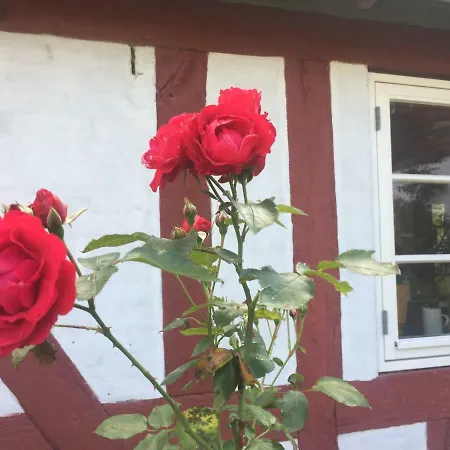 Bed & Breakfast Rosenlund