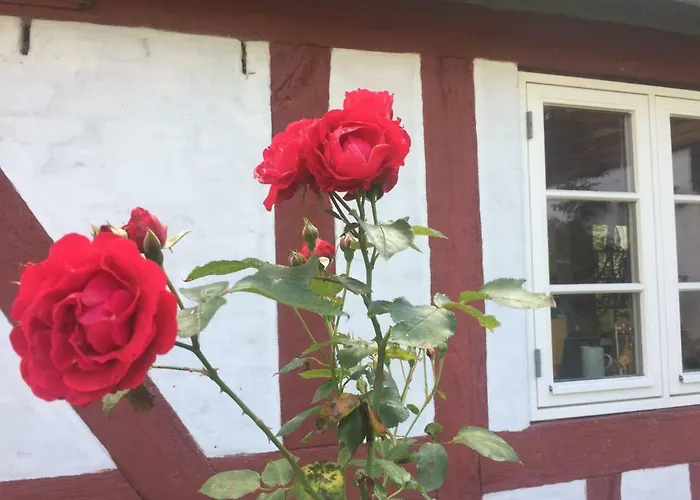 Bed & Breakfast Rosenlund